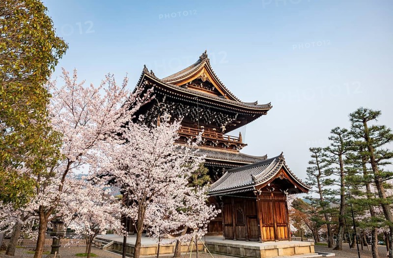 Sanmon Gate and blooming cherry trees, Konkai-Komyoji Temple, Buddhist Temple, Kyoto, Japan