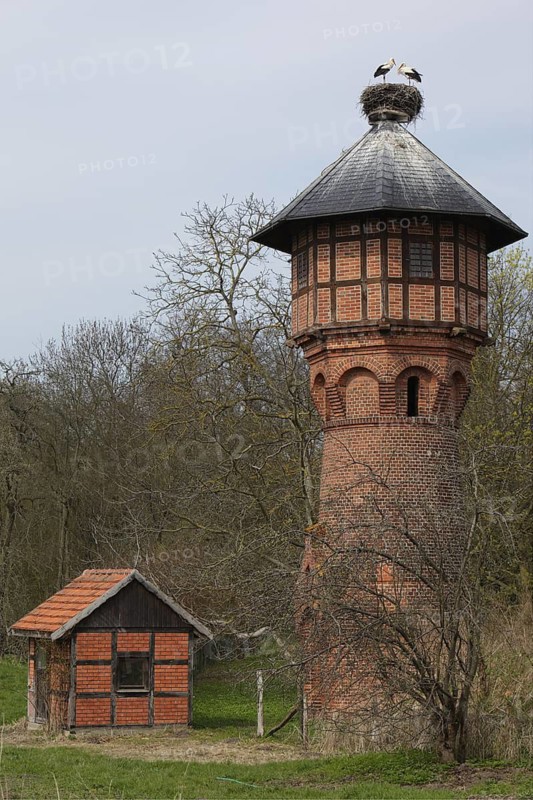 Weissstorch-Paar auf Horst; auf historischem Wasserturm; lat. Ciconia ciconia; Storchendorf Rühstädt