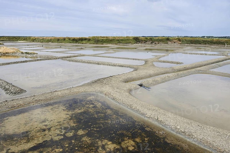 Seawater salt pans, Guerande, Loire-Atlantique, Pays de la Loire, Brittany, France
