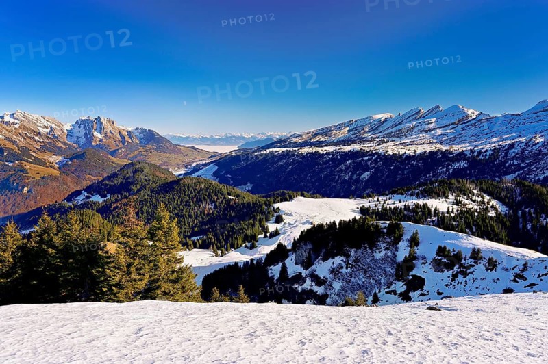 View of snow-covered Säntis and Churfirsten from Gulmen, Amden, Canton of St. Gallen, Switzerland