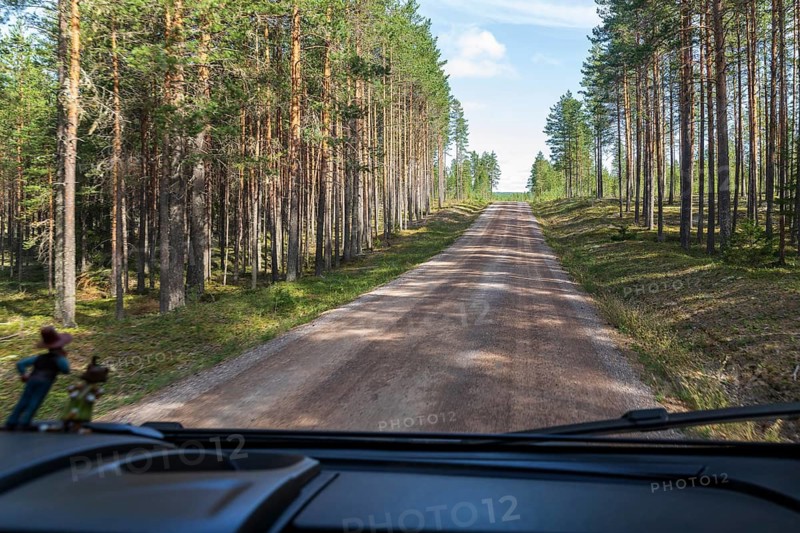 By car on unpaved roads through the vast forests, Dalarnas län, Sweden