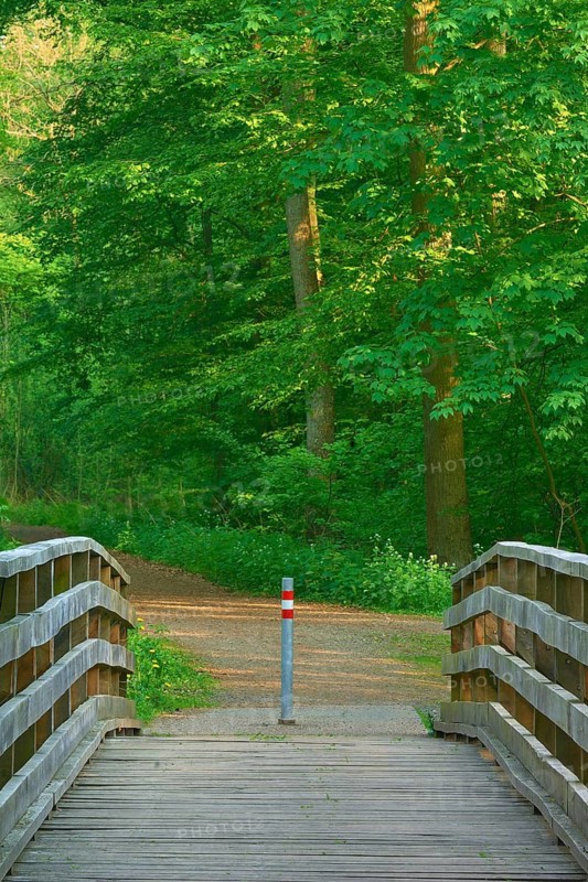 Wooden bridge over Kinzig river leading into a forest path, surrounded by green trees, Bullau, Erlensee, Hanau, Hesse, Germany