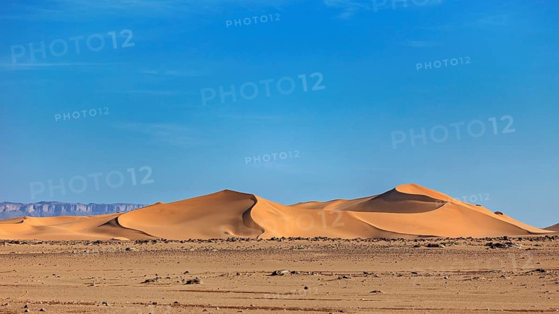 Vast sandy desert landscape with gentle dunes under a clear blue sky, The sand dunes of the Sahara in Algeria