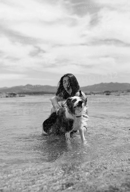 A cheerful black and white scene of a woman playing with her dog in shallow water on a sunny day Water splashes around them as they enjoy each other's company outdoors