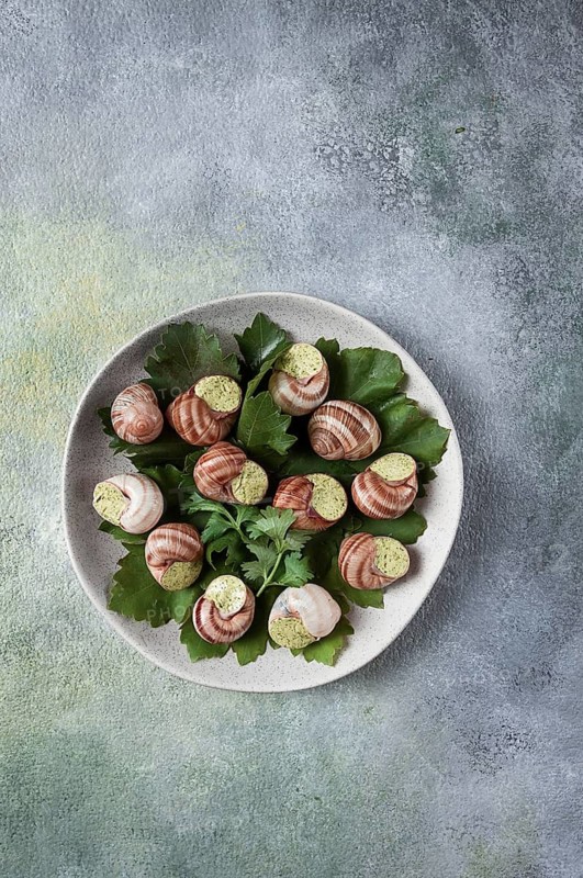 Grape snails, stuffed in burgundy, french cuisine