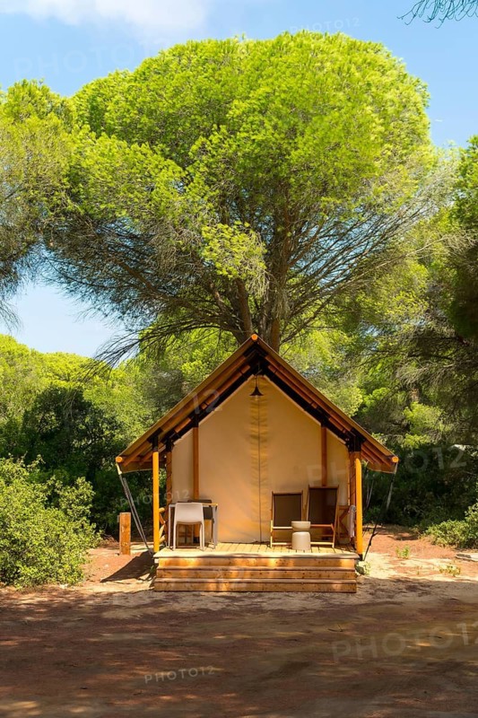 Sunlight filters through the leaves of a large tree, illuminating a glamping tent with a wooden deck and outdoor furniture, creating a serene and inviting atmosphere in the heart of nature
