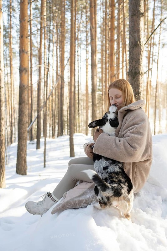 A woman lovingly hugs her black and white Border Collie in a wintery forest setting. They enjoy a serene moment surrounded by tall pine trees and a blanket of snow