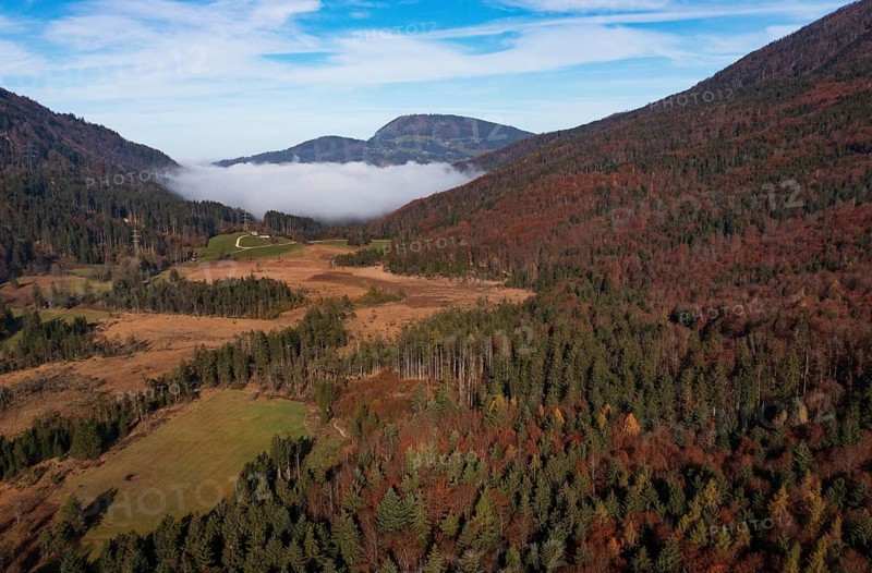 Early morning mist in the Egelsee nature reserve with a view of the Gaisberg, moorland, Puch near Hallein, Osterhorn group, Salzkammergut, Salzburg province, Austria