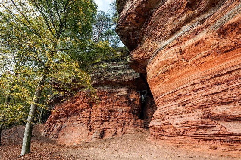 Old castle rock, red sandstone rock formation, natural and cultural monument, Brechenberg near Eppenbrunn, Palatinate Forest, Rhineland-Palatinate, Germany