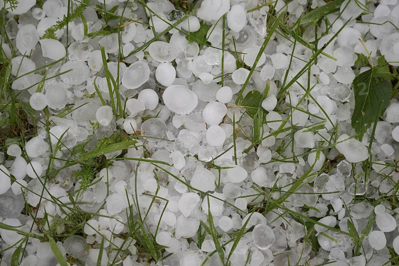 The orchard with lawn after the June hailstorm in Poland