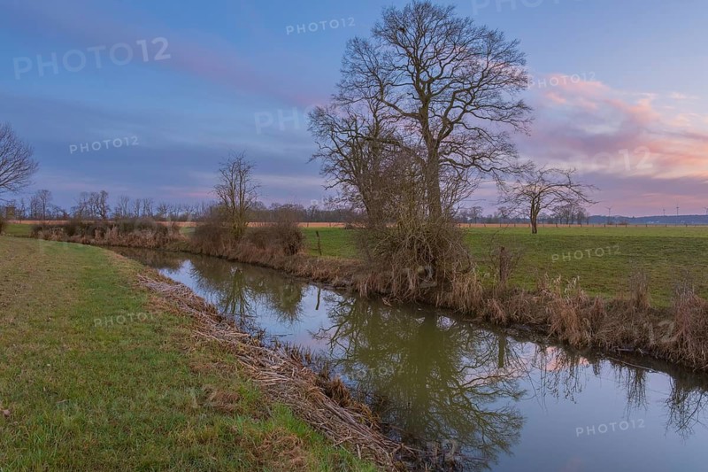 View along a ditch to non-leafy trees at sunset, Kirchlinteln, Verden, Aller Leine Valley, Lower Saxony, Germany