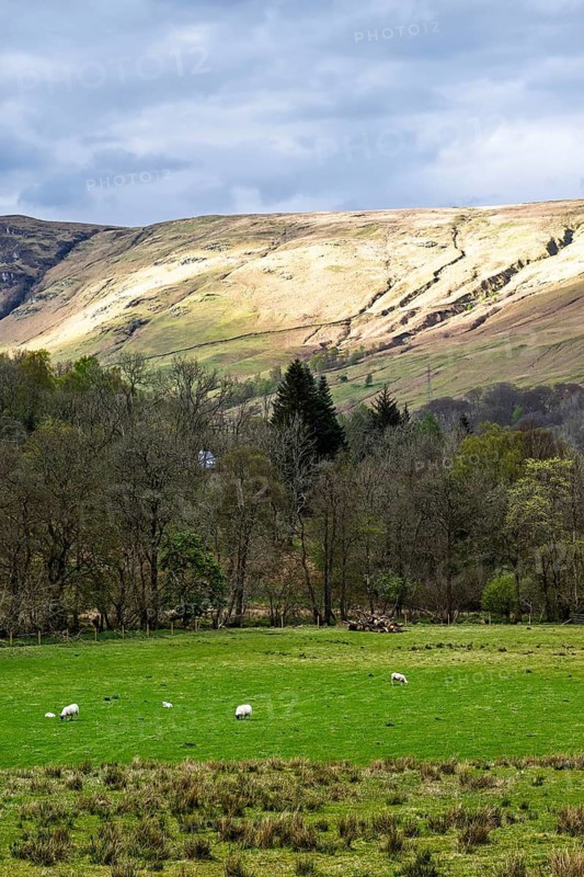 Farm and mountains, Loch Earn, Southern Highlands, Scotland, United Kingdom