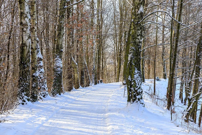 Straight hiking trail on a former railway embankment in the snow near Dürrröhrsdorf-Dittersbach, Saxony, Germany