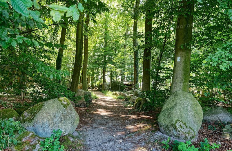 Erratic blocks in the Neuenknick erratic block forest in the Teutoburg Forest. Around 2000 of the ice-age relics have been brought together in a collection. The erratic boulder forest includes a nature discovery trail and is equipped as a leisure and recreation centre. Petershagen, North Rhine-Westphalia. Germany
