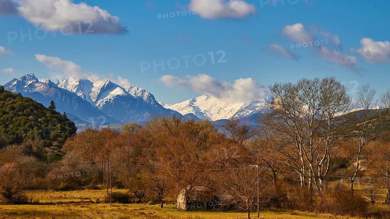 Rural scene with snow-covered mountains and trees in the foreground, autumn foliage, Erymanthos Mountains, northwest of the Peloponnese peninsula, Peloponnese, Greece