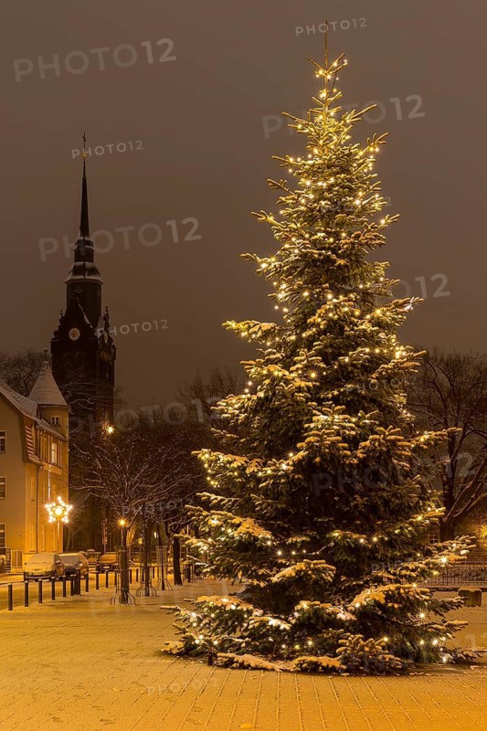 Christmas tree on the snow-covered Wettinplatz, in the background the New Church of St Peter and Paul, Coswig, Saxony, Germany