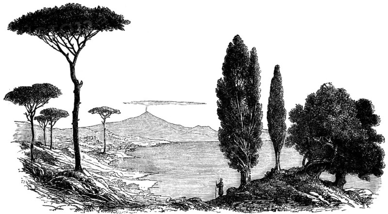 Landscape on the Gulf of Naples with a view of the smoking Etna volcano, vegetation from left, pine tree (Pinus pinea), Mediterranean cypress (Cupressus sempervirens var. stricta), olive tree (Olea europaea), geological history, geography, Italy, historical illustration 1888