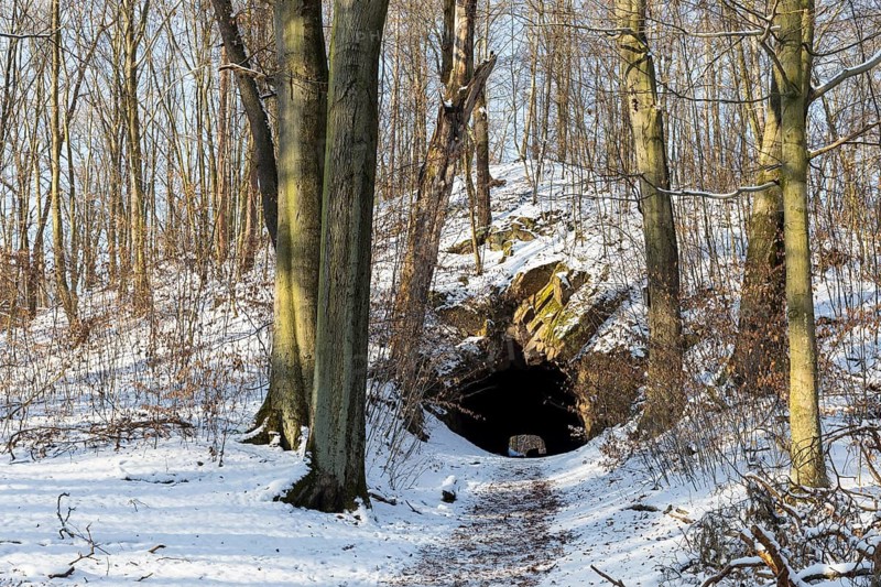 Hohburg tunnel in Friedewald near Moritzburg, Saxony, Germany