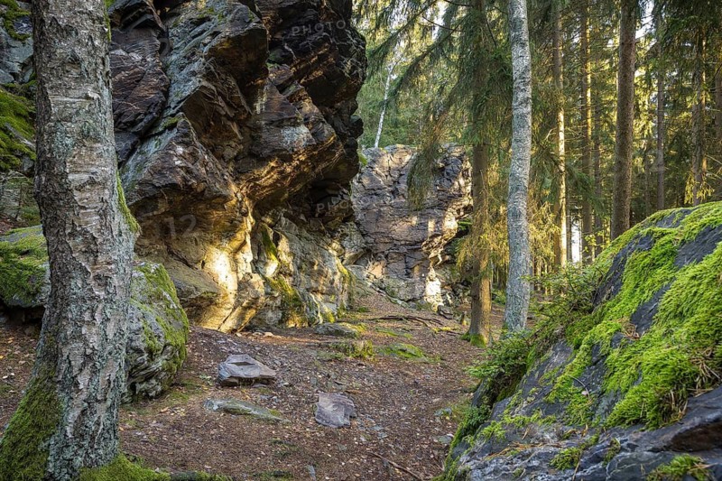 Schwarzer Stein rock formation with Versteinerter Mönch rock formation east of Grünbach in Vogtland, Saxony, Germany