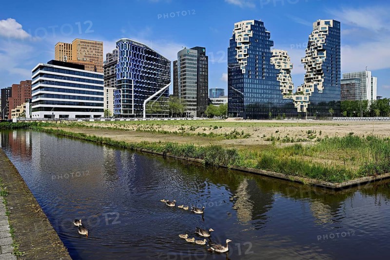 Greylag geese (Anser anser), swimming in Kananl, back skyline with office buildings NautaDutilh, Symphony, towers, Symphony torens, ABN AMRO Bank, The Valley, Zuidas financial district, Amsterdam, North Holland, Netherlands