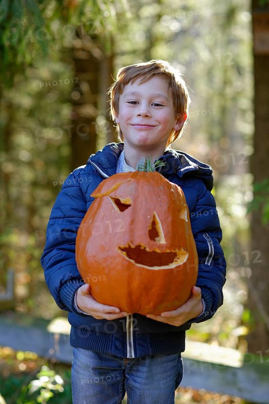 Boy proudly lifting a Halloween pumpkin in autumn, child in autumn, Upper Bavaria, Bavaria, Germany