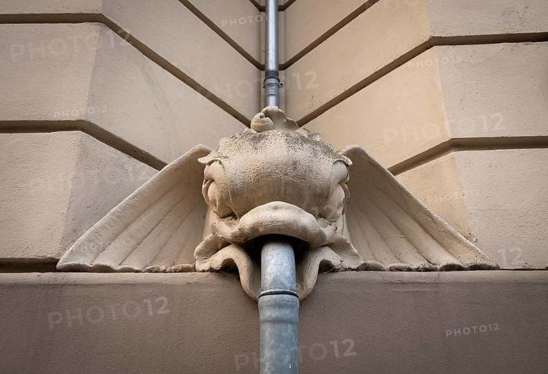 Fish-like creature with a gutter in its mouth, Historic building, Frederiksberg Allé, Copenhagen, Denmark