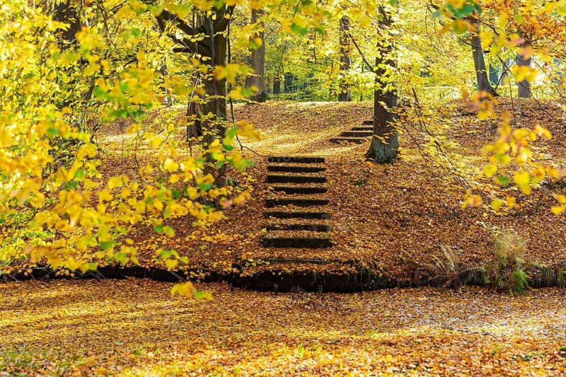 Castle park of Hermsdorf Castle in autumn, Ottendorf-Ockrilla, Saxony, Germany