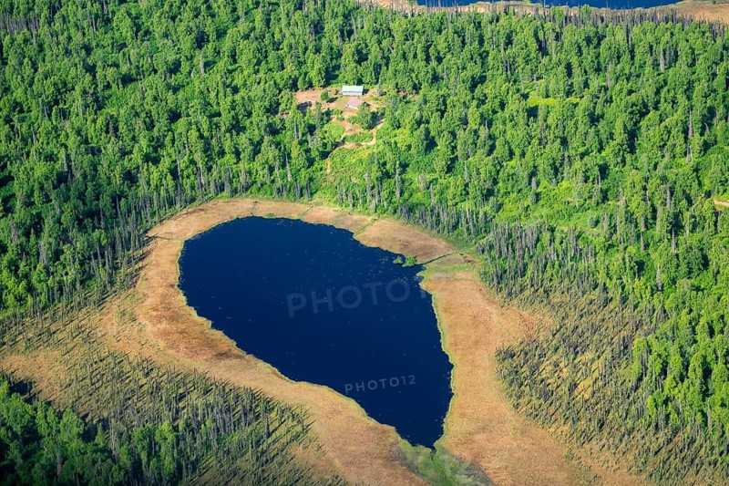 Aerial view of lake in forest with houses, Alaska, USA