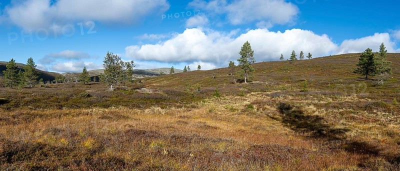 Autumn landscape, Pallas-Yllästunturi National Park, Lapland, Finland