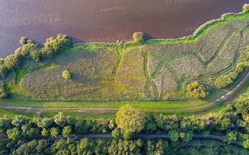Aerial view of Lake Dümmer, nature reserve, reeds, shore, Ochsenmoor, Hüde, Lower Saxony, Germany