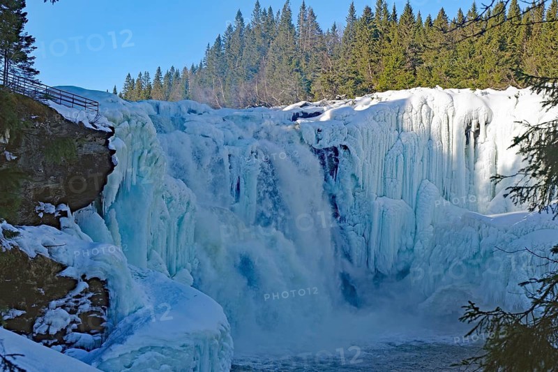 An impressive waterfall with ice formations and neighbouring forest, winter, Sweden's highest waterfall, Tännforsen, Åreälven, Are, Jämtland, Sweden