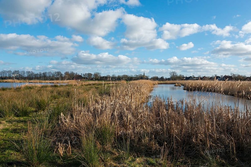 National Park De Alde Feanen, the old fen, Earnewald, Eernewoude, Friesland, Fryslân, Netherlands