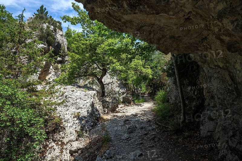 Hiking trail in the gorge of Trevans, Gorges de Trévans, near Estoublon, Alpes-de-Haute-Provence, Provence, France