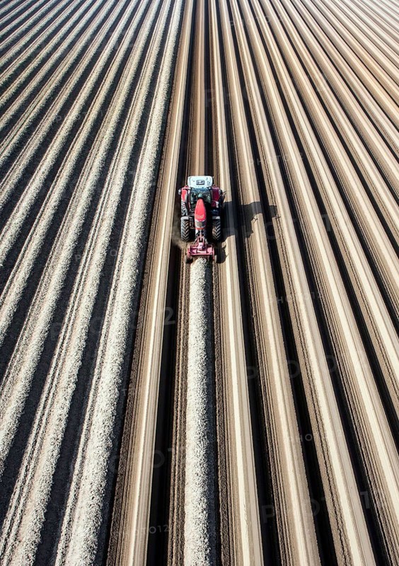 Klaistow, 07.03.14 JE - An aerial photo shows a tractor in a large asparagus field. Getting ready for asparagus season. With a tiller at the front of the tractor, the soil is loosened up, the rear cutter of the tractor creates the typical asparagus wall