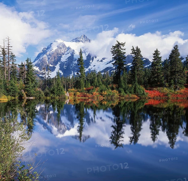 A tranquil scene featuring a pristine lake reflecting a majestic snow capped mountain. Evergreen trees line the shore, enhanced by a vibrant autumn palette