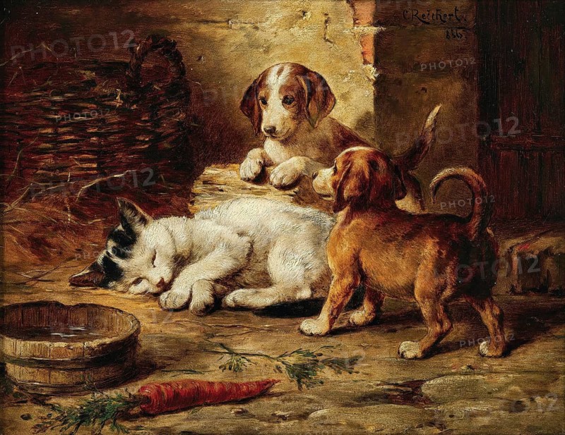 Carl Reichert, Karl Reichert, pseudonym J. Hartung (born 27 August 1836 in Vienna, died 5 April 1918 in Graz) . Austrian painter, especially landscape painter and animal painter. Here his work:, Well-Guarded Sleep (1886), Two small puppies watching a sleeping cat in a rustic setting, Painting, Reproduction of the painting, Work of art, Historical