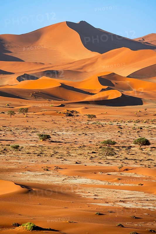 Red sand dunes, Sossusvlei region, Namib Desert, Namib-Naukluft National Park, Namibia