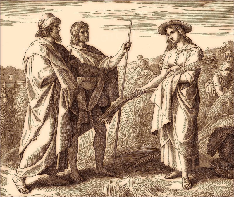 Ruth in Boaz's Field, Old Testament, by Julius Schnorr von Carolsfeld