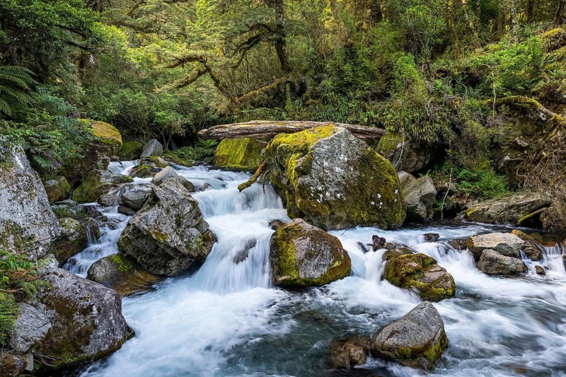 Landscape in New Zealand with river and forest. Waterfalls Marian Falls, Fiordland National Park, Southland Region, South Island, New Zealand
