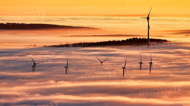 Forest and wind turbines rise from cloud cover, wind farm, silhouettes at sunset, dense sea of fog in the valley, inversion weather, Köterberg, Lügde, Weser Hills, North Rhine-Westphalia, Germany