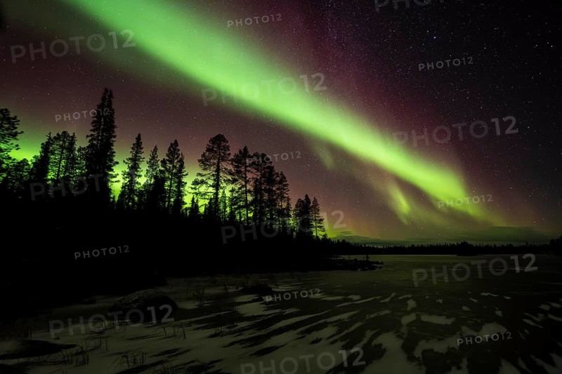 Northern Lights (Aurora borealis) over a frozen lake, Norrbotten, Lapland, Sweden, October 2022