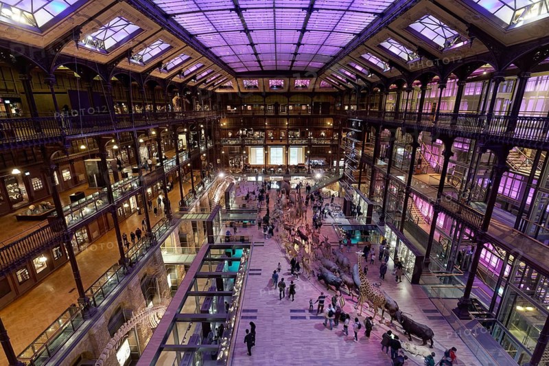 Grande Galerie de l'Evolution, Musée National d'Historie Naturell, National Museum of Natural History, exhibition hall with animal models, Jardin des Plantes, Paris, France
