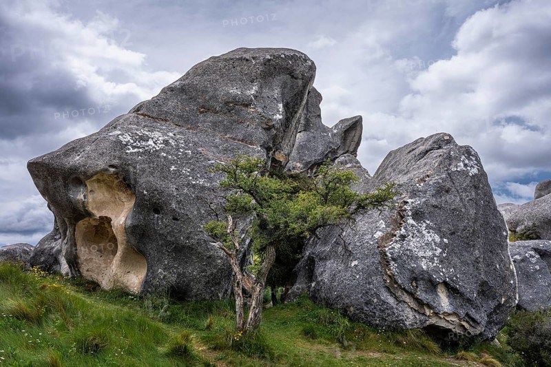 Limestone cliffs on Castle Hill (Kura Tawhiti) . Castle Hill, Canterbury South Island, New Zealand