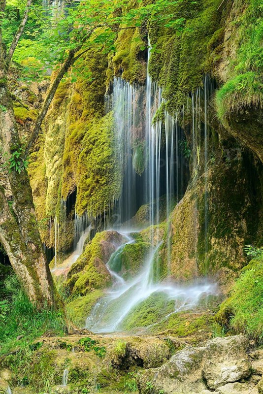 The Schleier Falls on the Ammer, moss-covered waterfall, Ammergau Alps, Bavaria, Germany