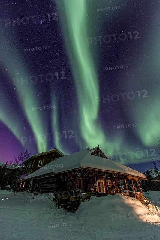 Green and purple northern lights (aurora borealis) over a log cabin in the snow, Brooks Range, Alaska, USA