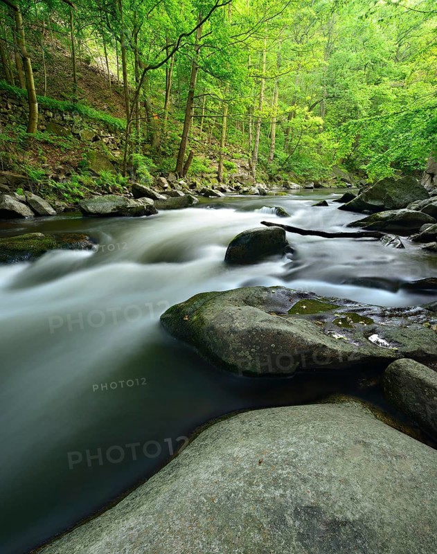 The River Bode with rapids and boulders in the Bode Valley between Thale and Treseburg, Harz Mountains, Saxony-Anhalt, Germany