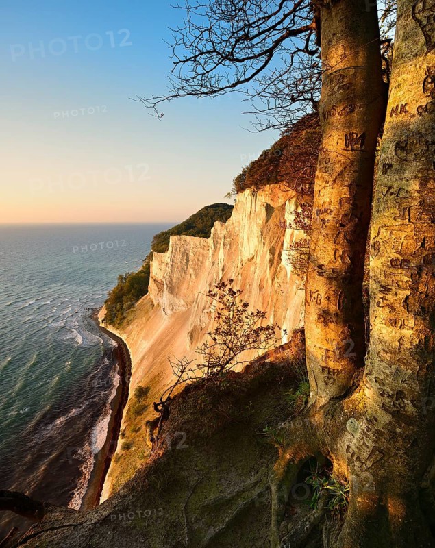 View of the chalk cliffs of Møns Klint on the Baltic Sea in autumn in the morning light, Møn Island, Denmark
