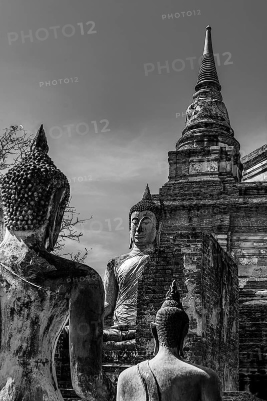 Stone Buddha statues, a temple tower in the back, Prang, historic Buddhist temple complex, black and white photo, Ayutthaya, Thailand