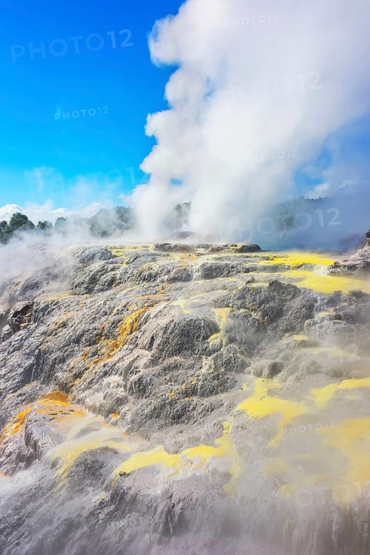Prince of Wales and Pohutu geysers erupting, Te Puia Thermal Valley, Rotorua, Bay of Plenty Region, North Island, New Zealand