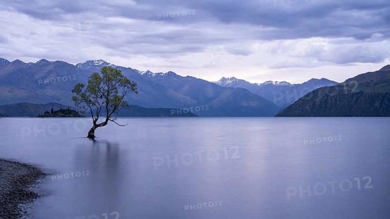 Wanaka Tree, long exposure, Lake Wanaka, Otago, South Island, New Zealand